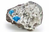 Vibrant Blue Cavansite Clusters on Mordenite & Stilbite - India #306071-1